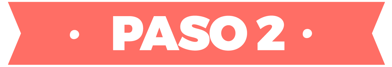 PASO-2 PASO-2